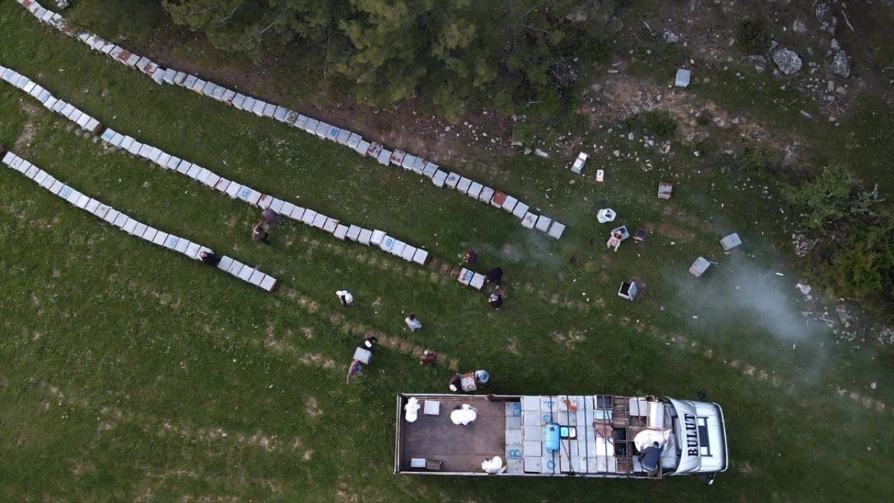 Foto - Havalar ısındı! Gezginci arıcıların yayla yolculuğu başladı