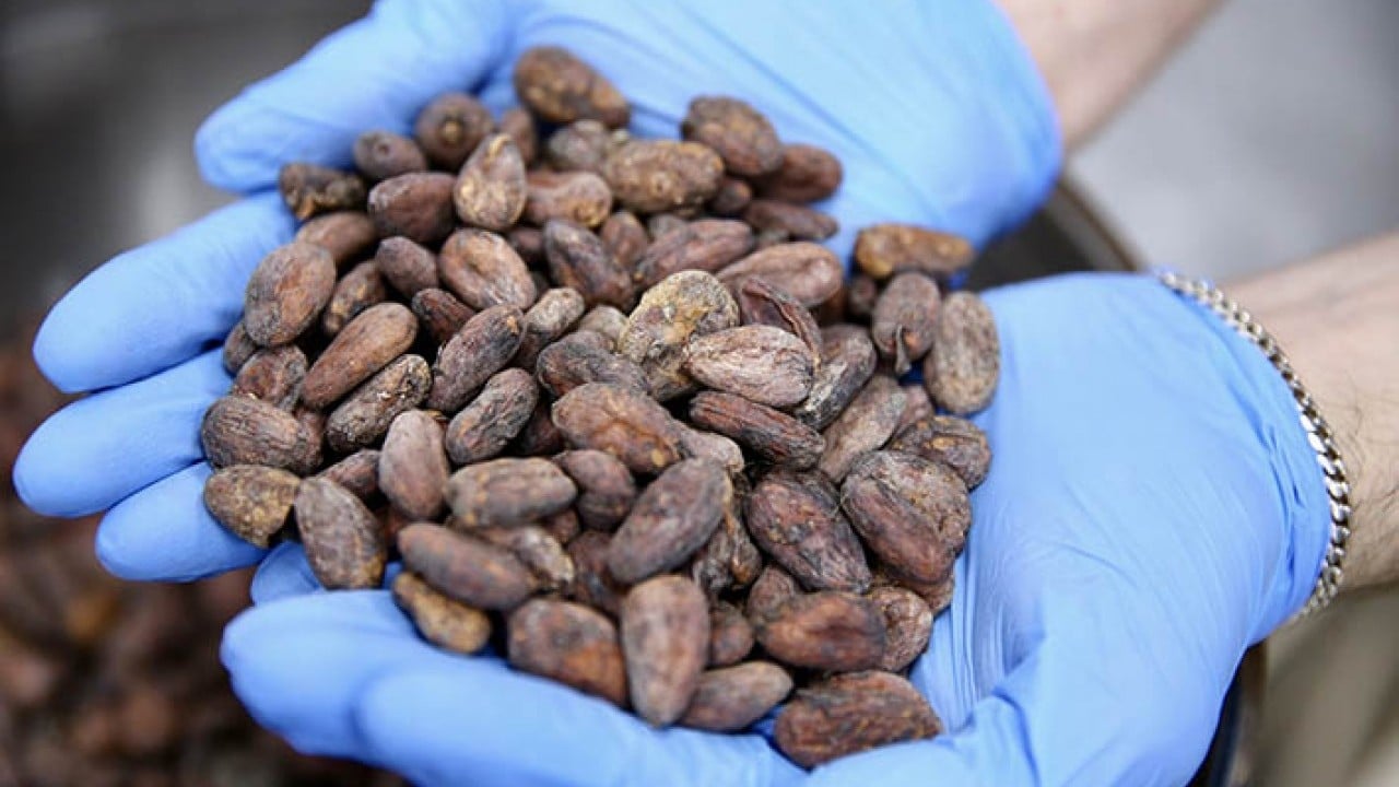 Foto - Yazılım mühendisi üç arkadaşın başarısı Türk fındığını çikolata ile buluşturdular
