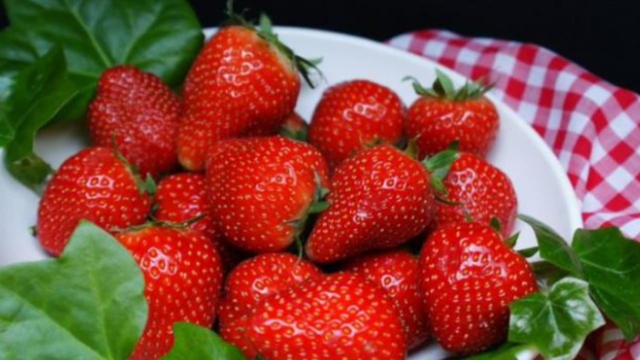 Foto - Yazın en sevilen meyvesini yerken dikkat! Zehirlenebilirsiniz