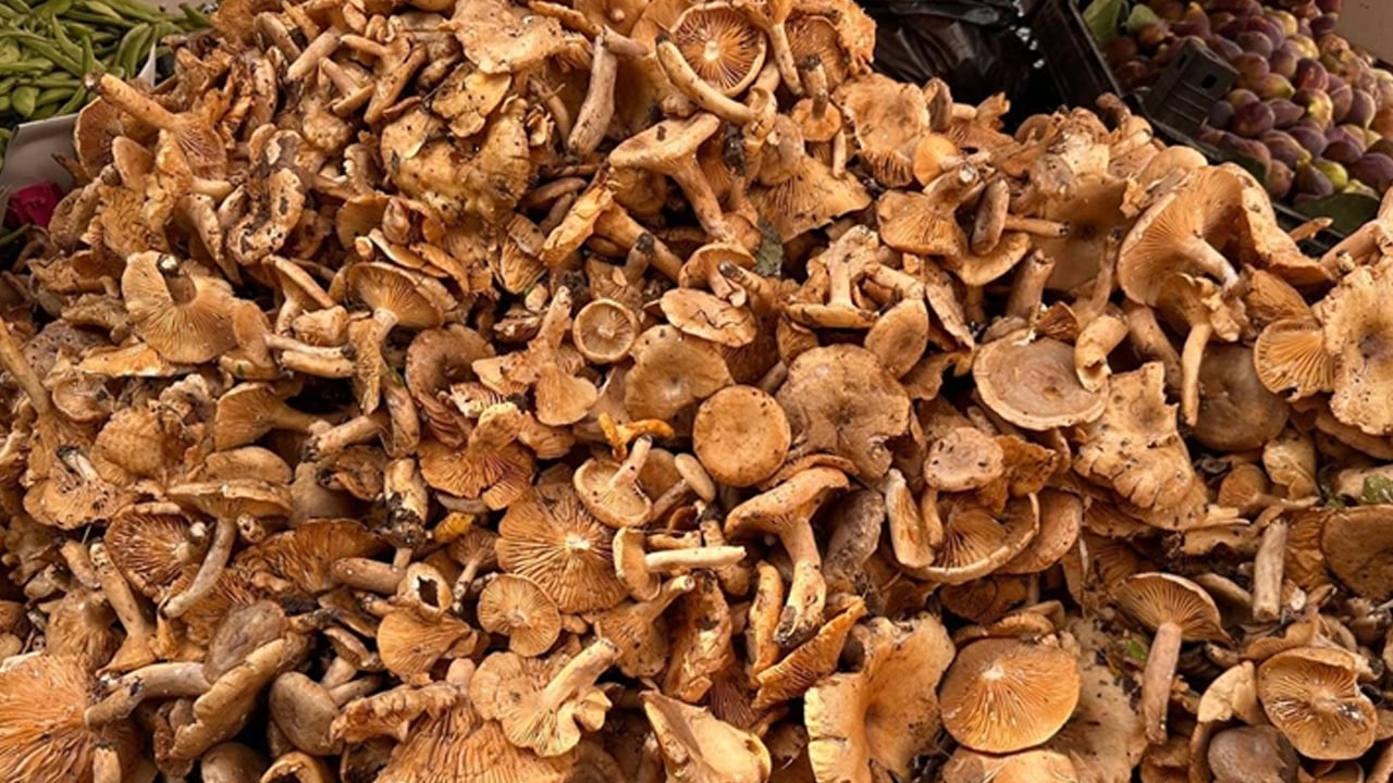 Foto - Yemeği asla tekrar ısıtıp yemeyin: İki kez ısıtanlar zehirliyor! Denemeye alındı! O detay! İlgili açıklama