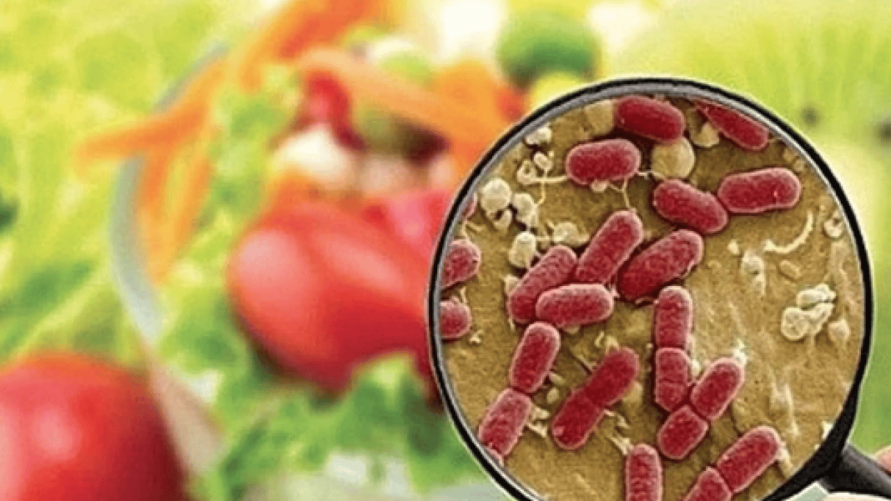 Foto - Yemek yiyen herkes tedirgin: Gıda zehirlenme vakaları artıyor! Hangi yiyecekler daha sağlıklı, daha riskli açıklandı