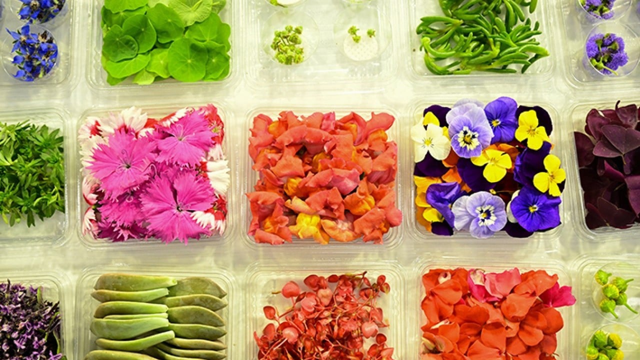 Foto - Yemeklerin yeni tadına ilgi büyük Çiçek yemeyi çok sevdik