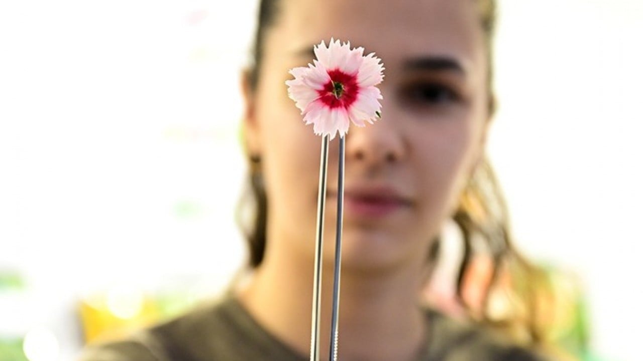 Foto - Yemeklerin yeni tadına ilgi büyük Çiçek yemeyi çok sevdik