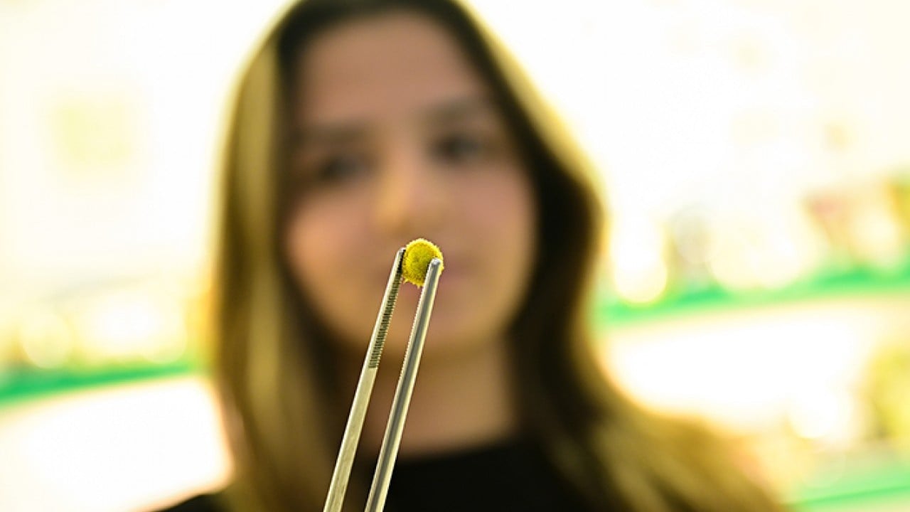 Foto - Yemeklerin yeni tadına ilgi büyük Çiçek yemeyi çok sevdik