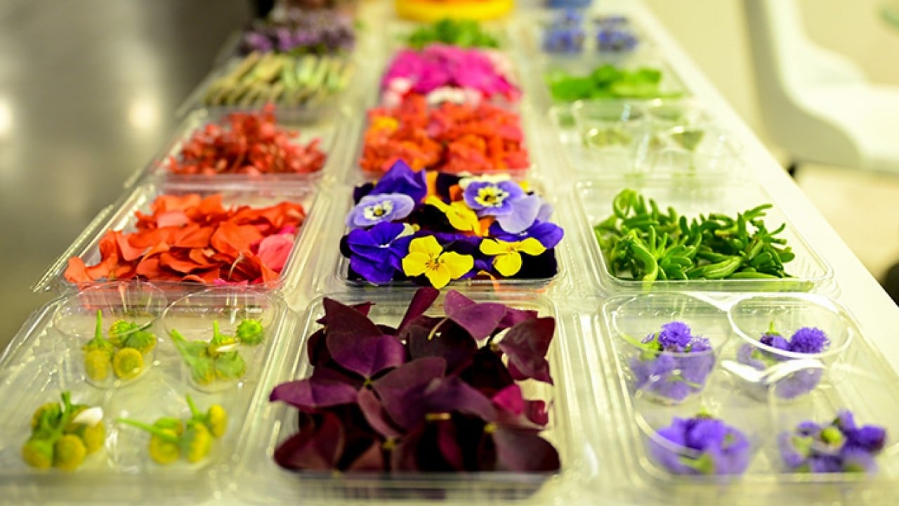 Yemeklerin yeni tadına ilgi büyük Çiçek yemeyi çok sevdik