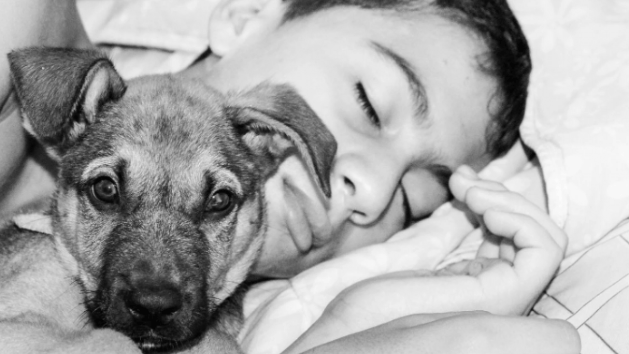 Foto - Yeni araştırma sonucu ortaya çıktı Gece uykusunu kaç saat uyumalıyız?