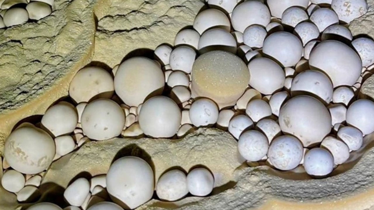 Foto - Yeni keşfedilen mağara hazine dolu çıktı! On binlerce inci yerlere serili halde bulundu