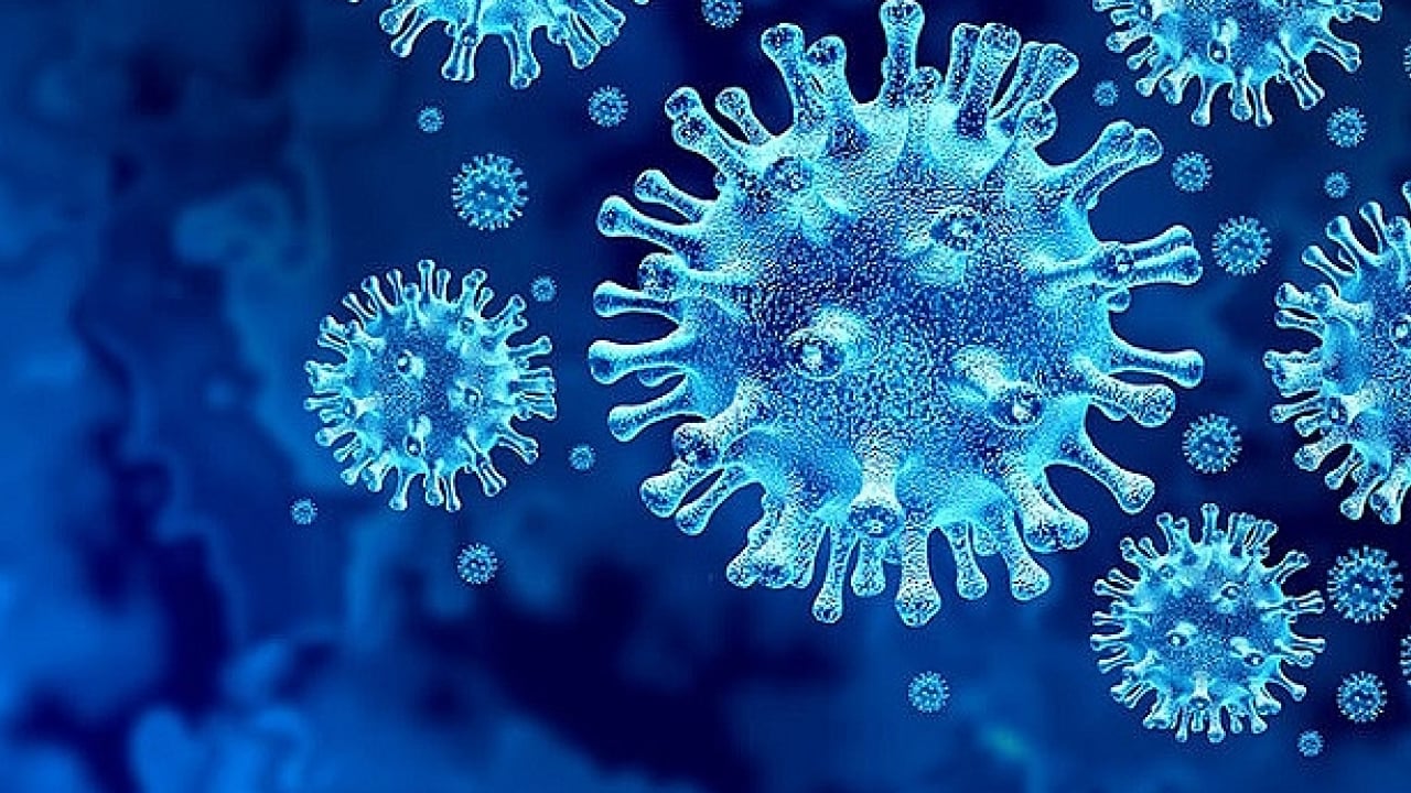 Foto - Yeni salgın H3N2 grip mutasyonu nedir? Girip mutasyonu salgınına karşı nasıl korunabiliriz? İşte uzman görüşleri