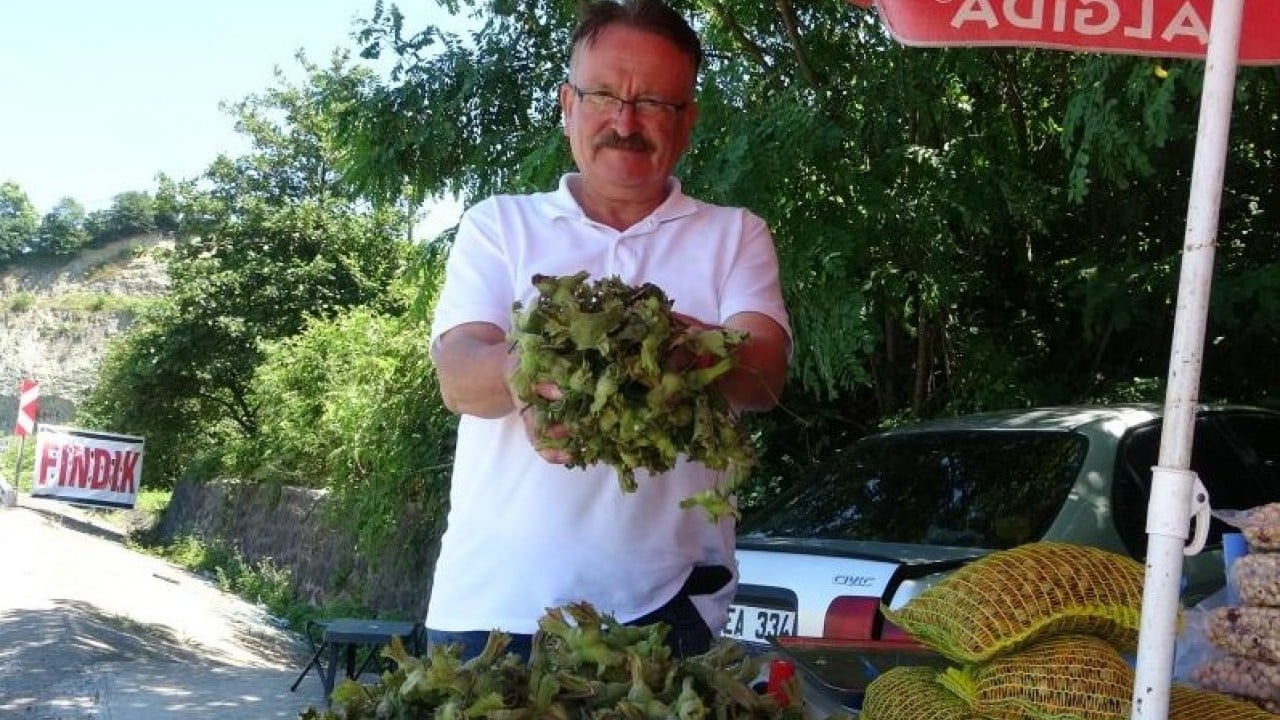 Foto - Yeni sezon fındığı tezgahlara indi: Yeşil kabuklu fındıkta ilk fiyat belli oldu