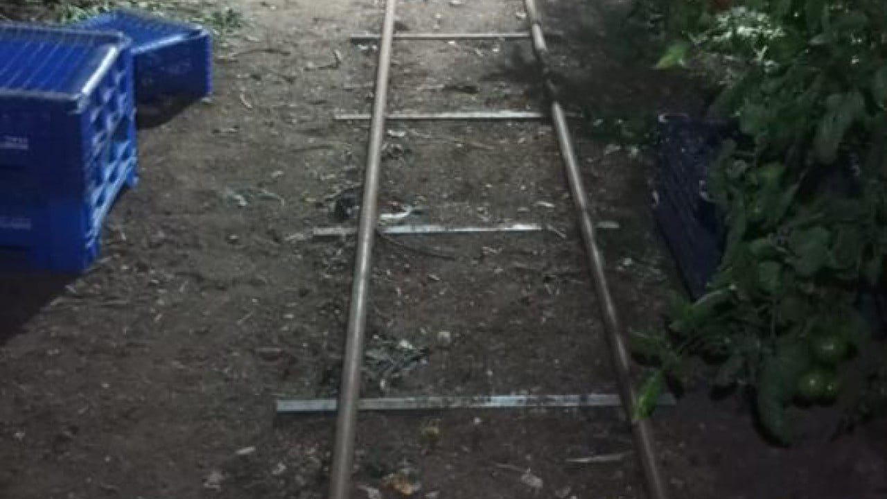 Foto - Yeni yıla 'don' nöbetiyle girdiler