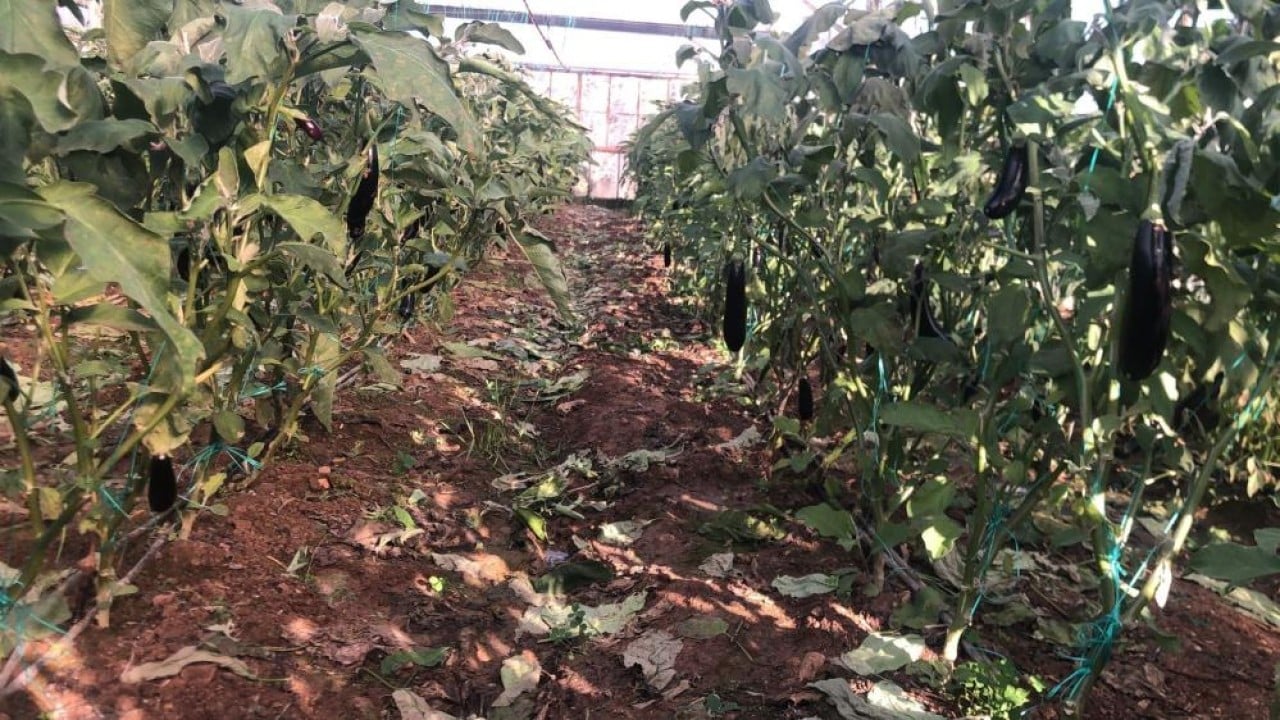 Foto - Yeni yıla 'don' nöbetiyle girdiler