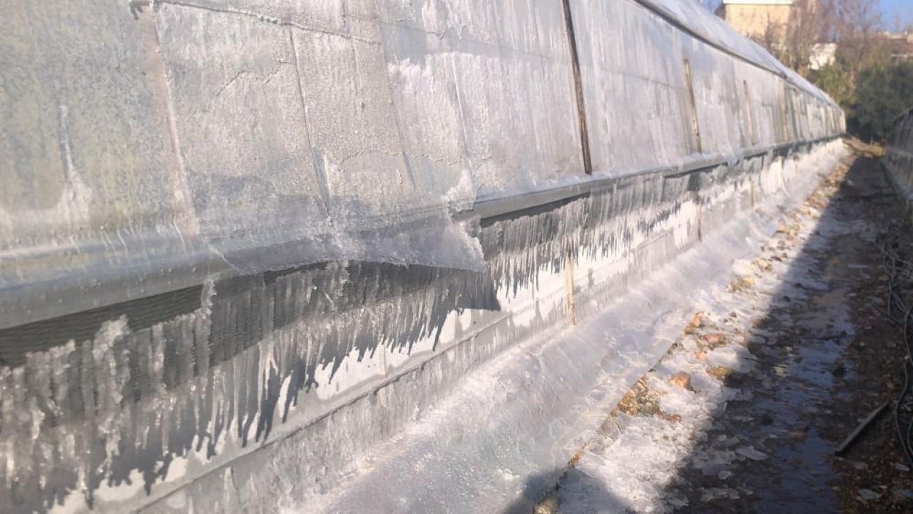 Foto - Yeni yıla 'don' nöbetiyle girdiler