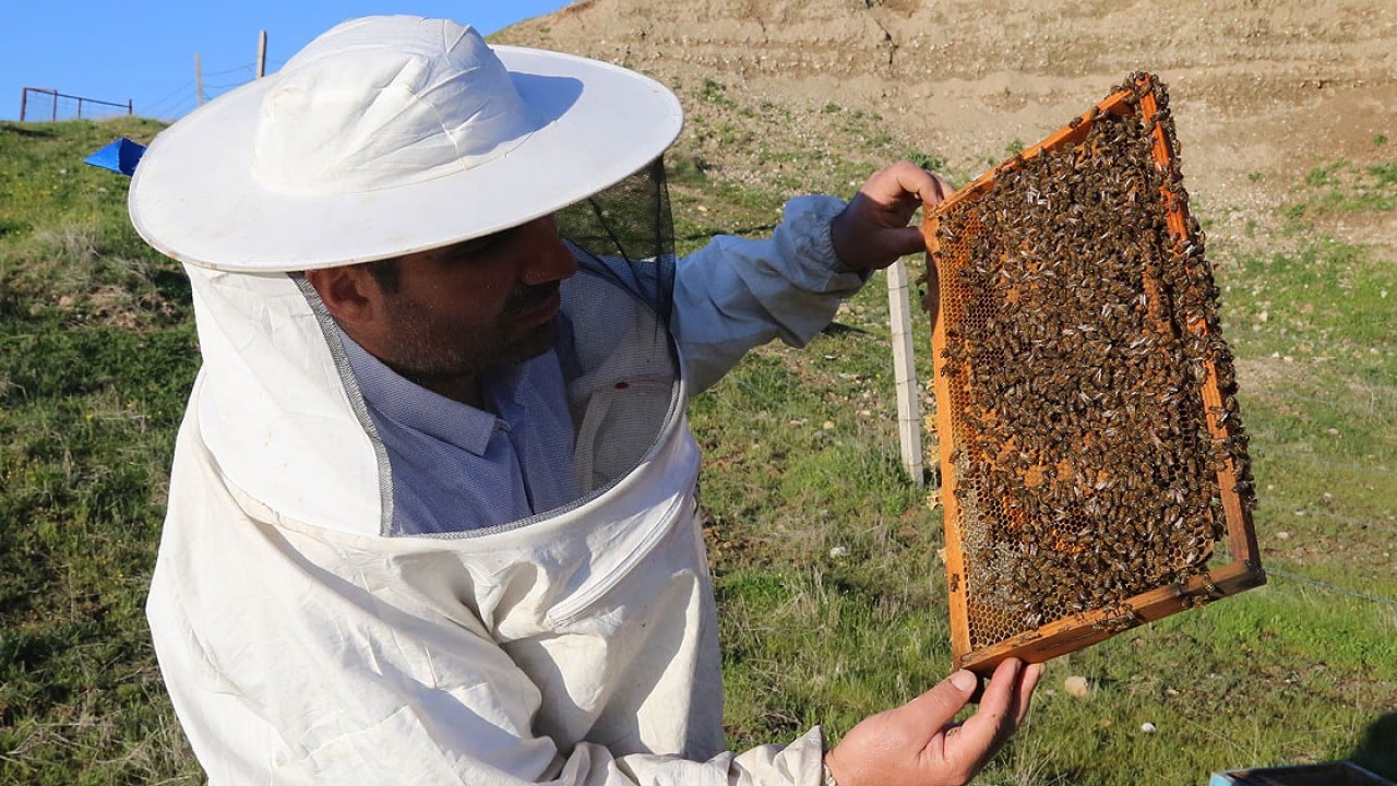 Foto - Arıcılıkta yeni dönem! Mesleki standart geliyor