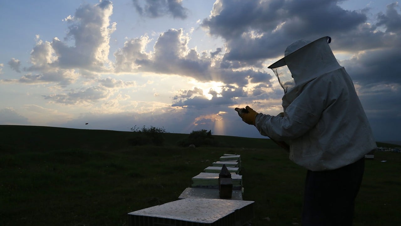 Foto - Arıcılıkta yeni dönem! Mesleki standart geliyor