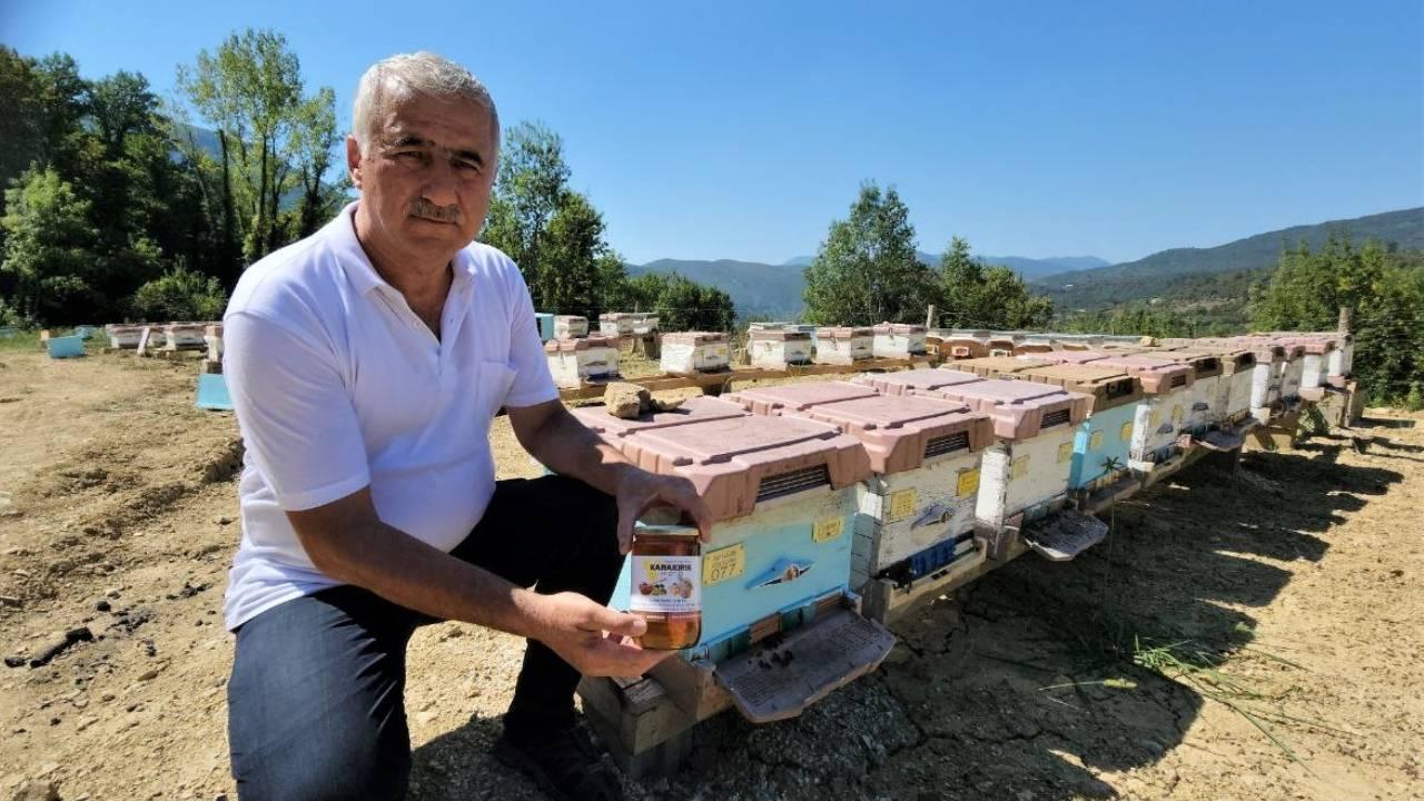 Foto - Yenice Ihlamur Balı artık tescilli! Türkiye'nin AB coğrafi işaret tescilli 43'üncü ürünü oldu 