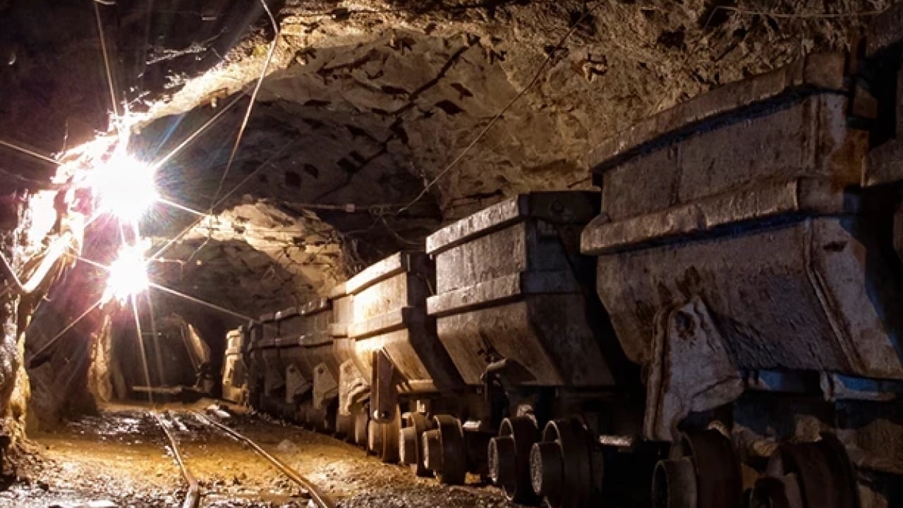 Foto - Turnayı gözünden vurdular: Yer altından servet fışkırdı!