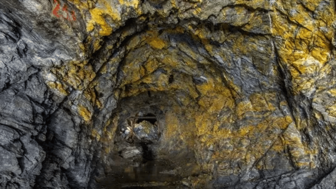 Foto - Turnayı gözünden vurdular: Yer altından servet fışkırdı!