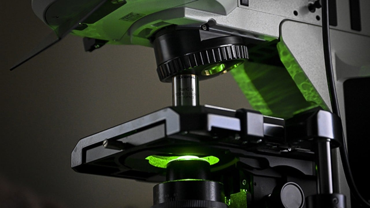 Foto - Yerli gen tedavisi araştırma ürünü için start veridi