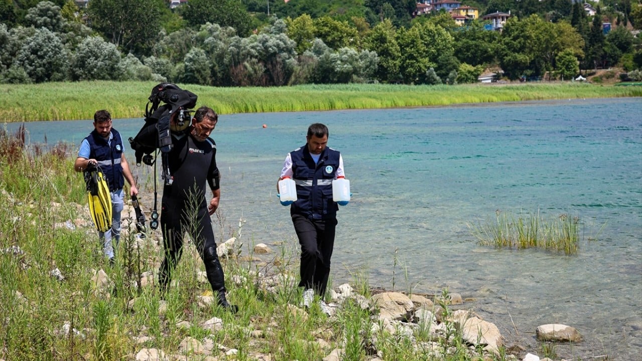 Foto - Yeşil alglar zararsız ama Su çekerek ve kirleterek öldürüyoruz