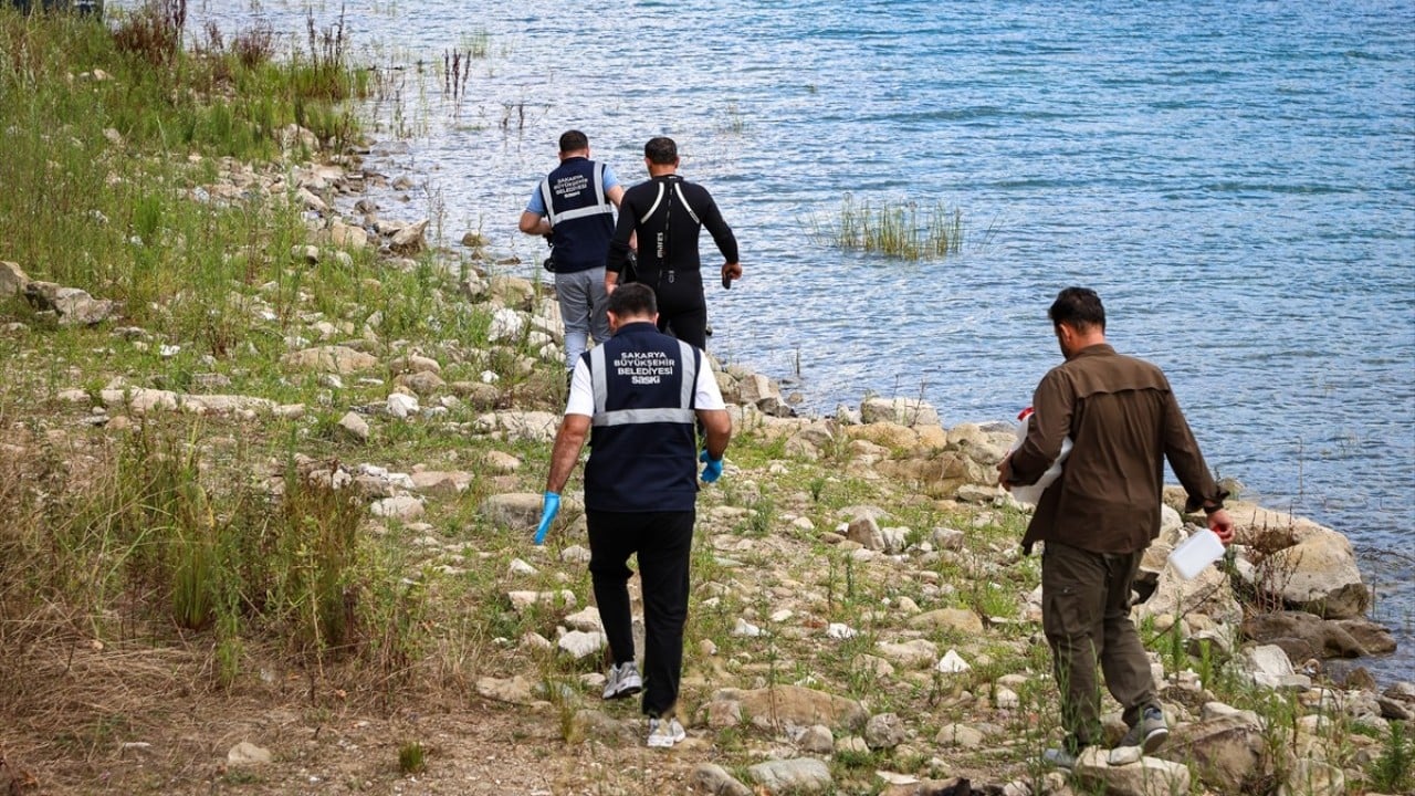 Foto - Yeşil alglar zararsız ama Su çekerek ve kirleterek öldürüyoruz