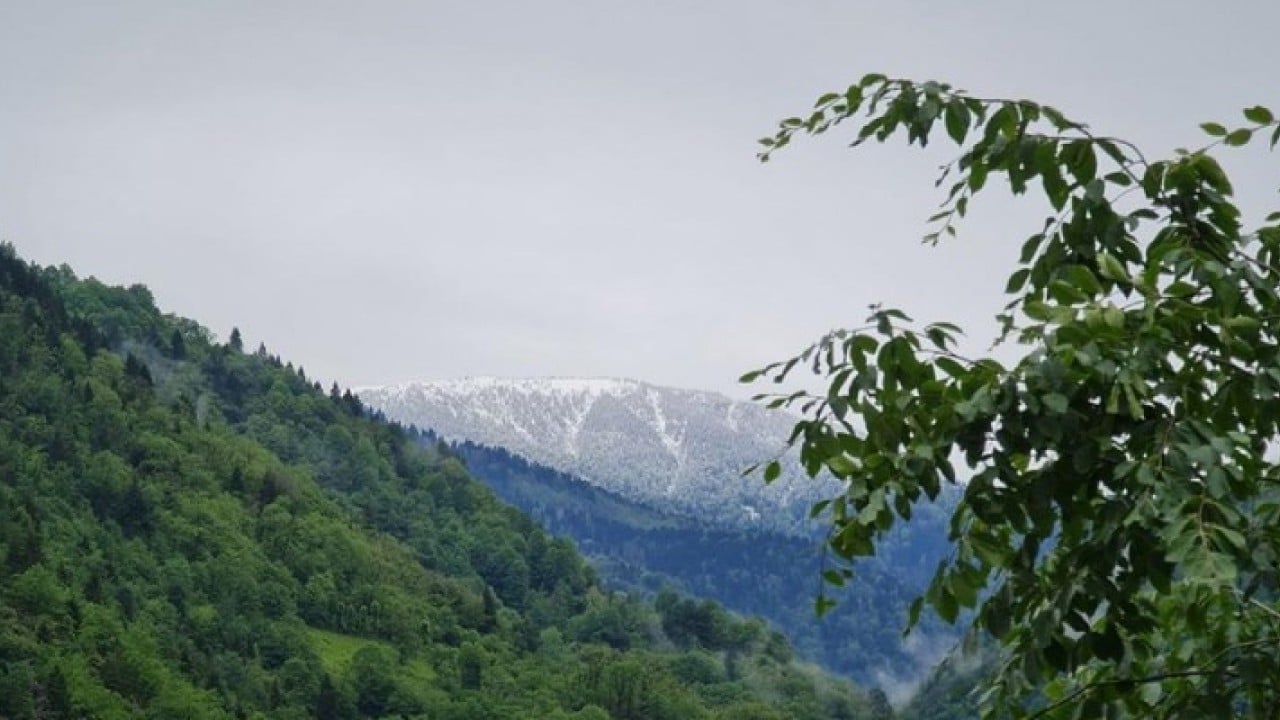 Foto - Karadeniz'in yeşili tükeniyor