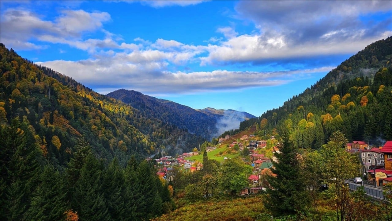 Foto - Karadeniz'in yeşili tükeniyor