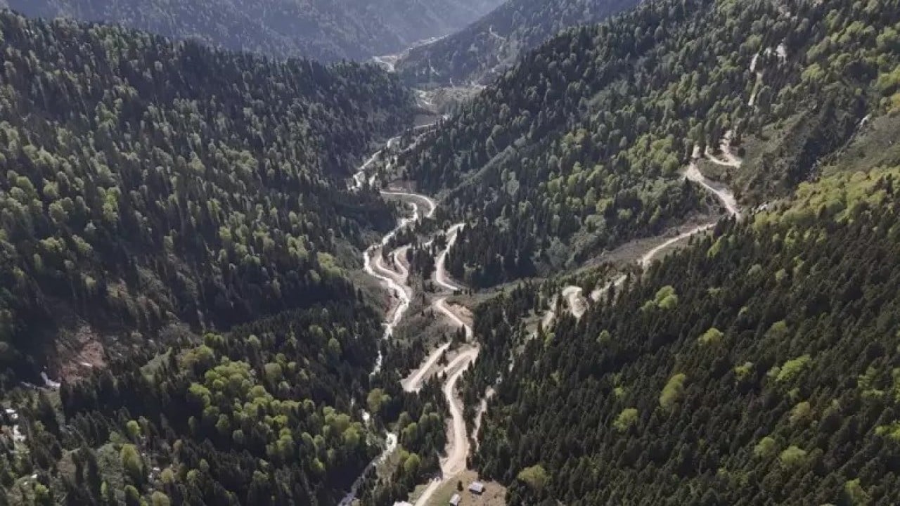 Foto - Karadeniz'in yeşili tükeniyor