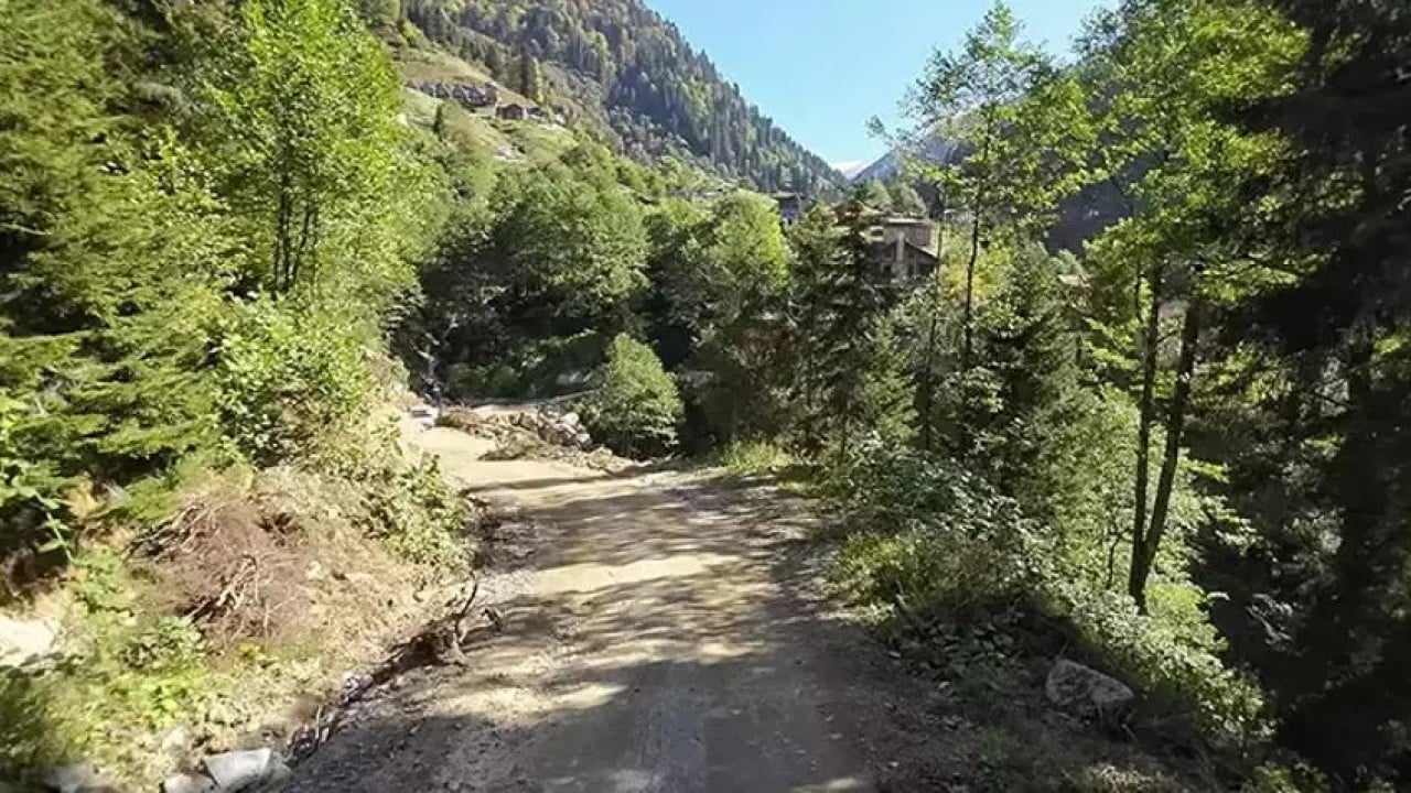 Foto - Karadeniz'in yeşili tükeniyor