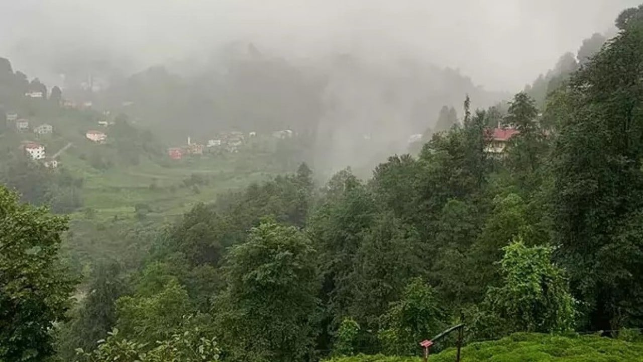 Foto - Karadeniz'in yeşili tükeniyor