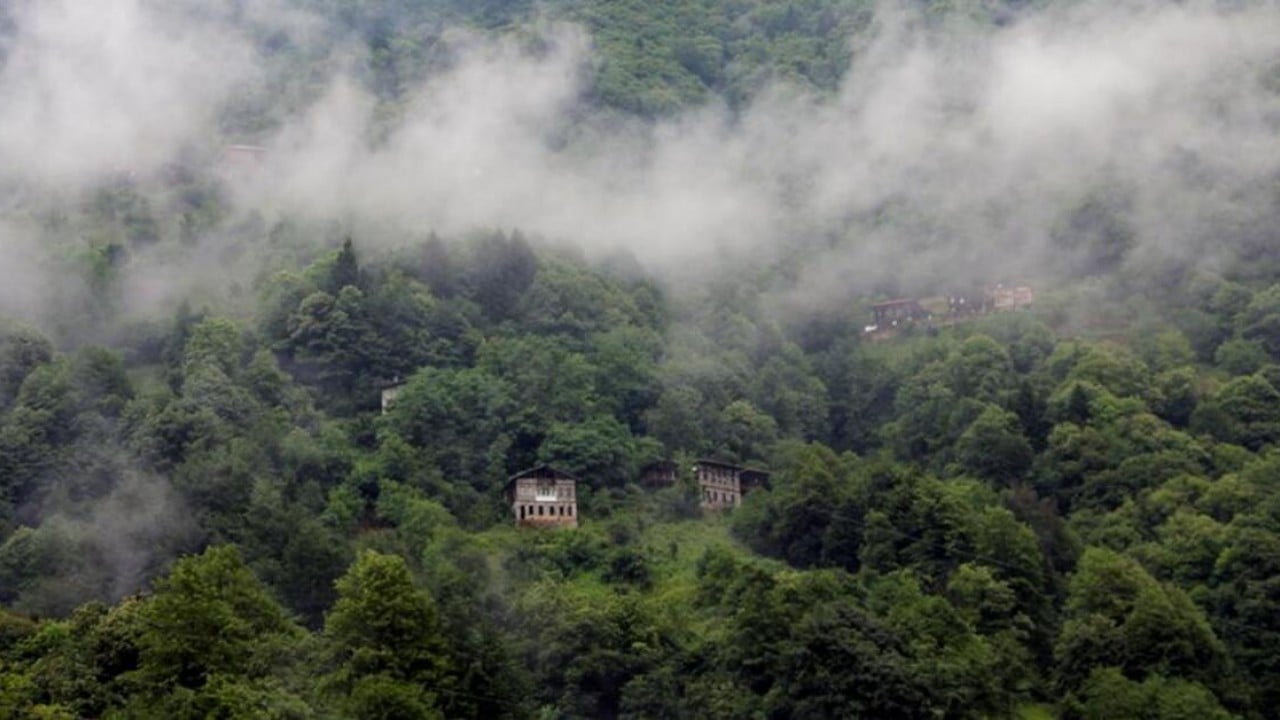 Foto - Karadeniz'in yeşili tükeniyor