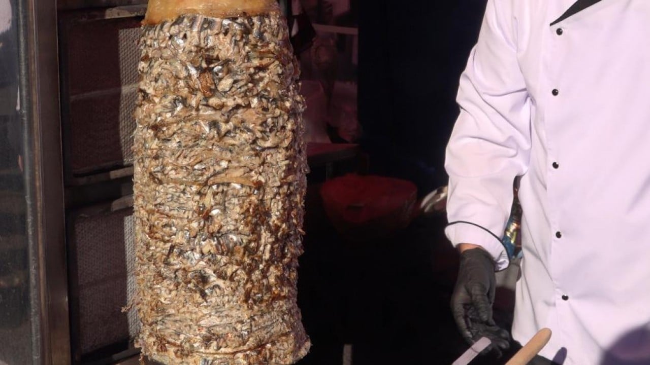 Foto - Yeter ki içinde hamsi olsun