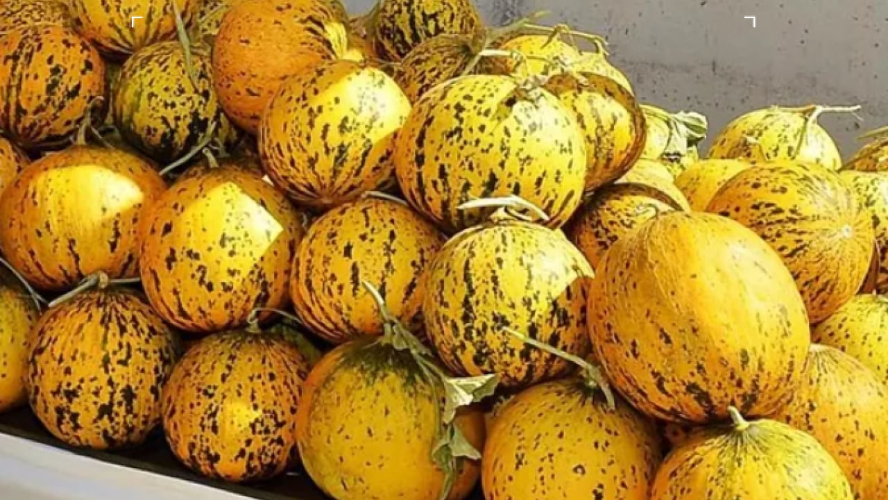 Foto - Yeterince su içmeyenler dikkat! İşte su problemini çözecek 10 meyve