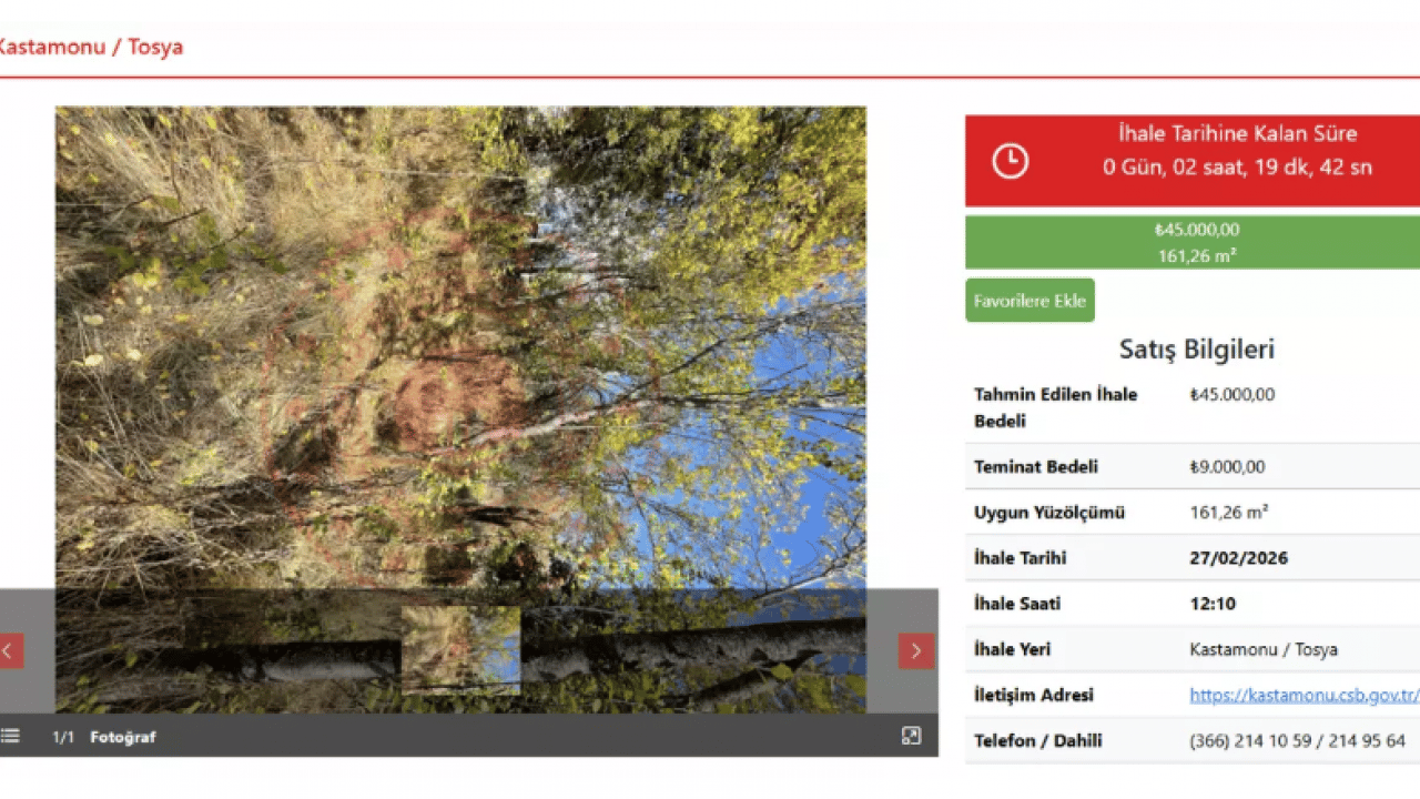 Foto - Yetişen kazanıyor: 45.000 TL'den tarla 58.410 TL'den arsa