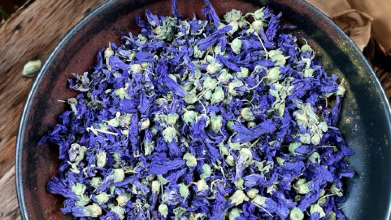 Foto - Ebegümeci bağışıklık sistemini güçlendiriyor... O hastalıklara derman olacak