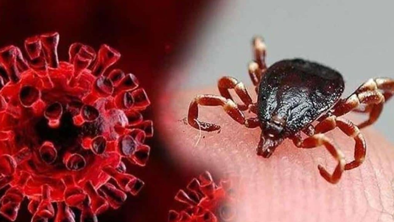 Foto - Yılan, akrep ısırmalarında kolonya dökmeyin yorumları ağızları açık bıraktı: Kafa karışıklığına yol açtı