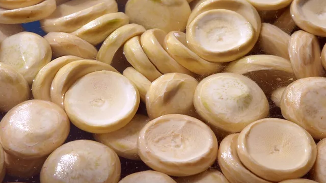 Yılbaşı gecesi su için: Suyunu içen kansere meydan okuyor, adeta hayat iksiri! Şaşkına çeviren besin