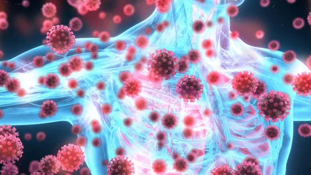 Foto - Yılbaşı gecesi su için: Suyunu içen kansere meydan okuyor, adeta hayat iksiri! Şaşkına çeviren besin