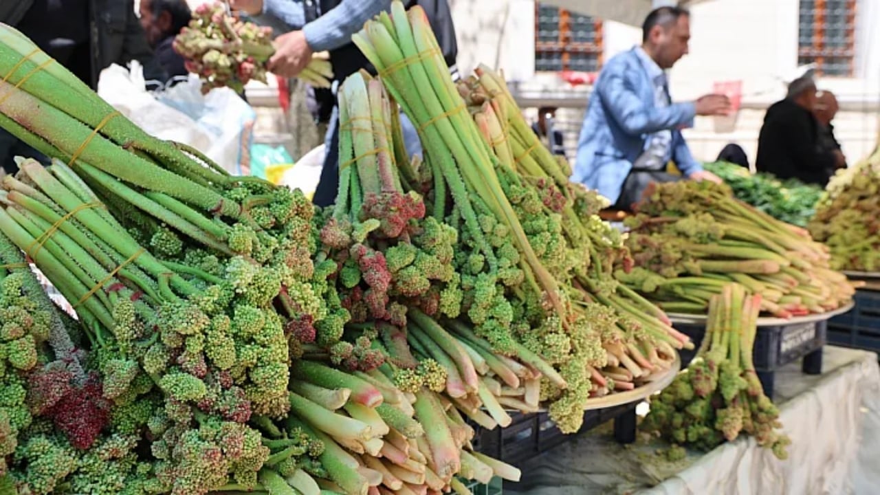 Yılda bir kez çıkıyor, biiznillah binbir derde deva oluyor! Fiyatı da bedavadan biraz pahalı