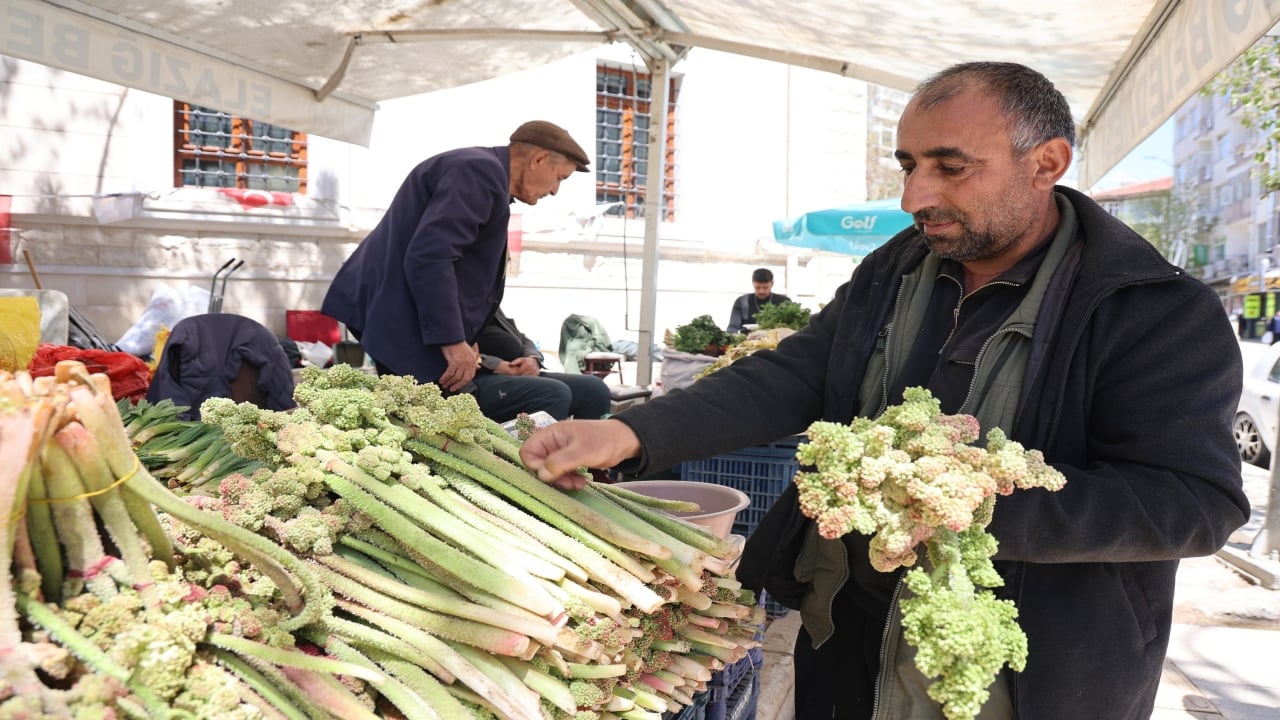 Foto - Yılda bir kez çıkıyor, biiznillah binbir derde deva oluyor! Fiyatı da bedavadan biraz pahalı