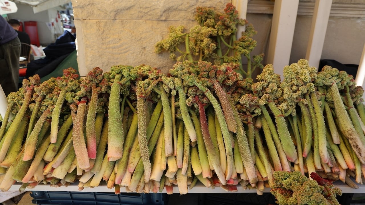 Foto - Yılda bir kez çıkıyor, biiznillah binbir derde deva oluyor! Fiyatı da bedavadan biraz pahalı