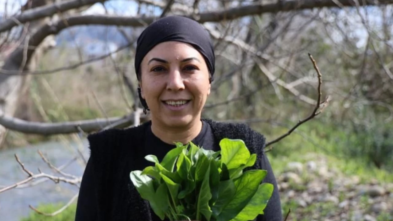 Foto - Yılda sadece iki ay toplanıyor! Doğada zehirli, piştiğinde şifalı oluyor
