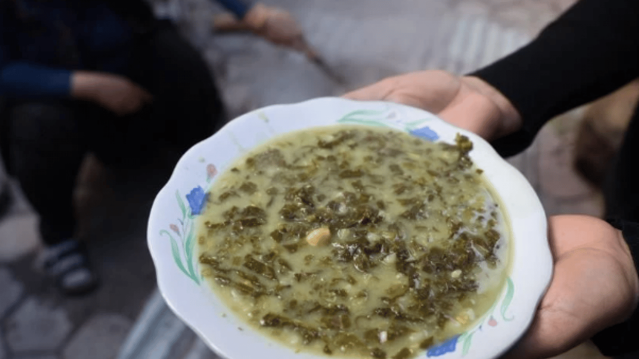 Foto - Yılda sadece iki ay toplanıyor! Doğada zehirli, piştiğinde şifalı oluyor