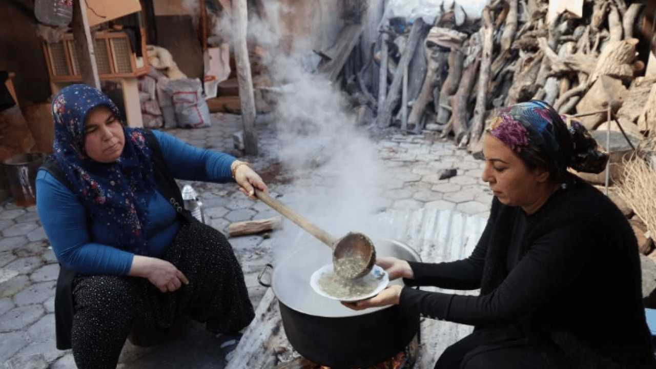 Foto - Yılda sadece iki ay toplanıyor! Doğada zehirli, piştiğinde şifalı oluyor