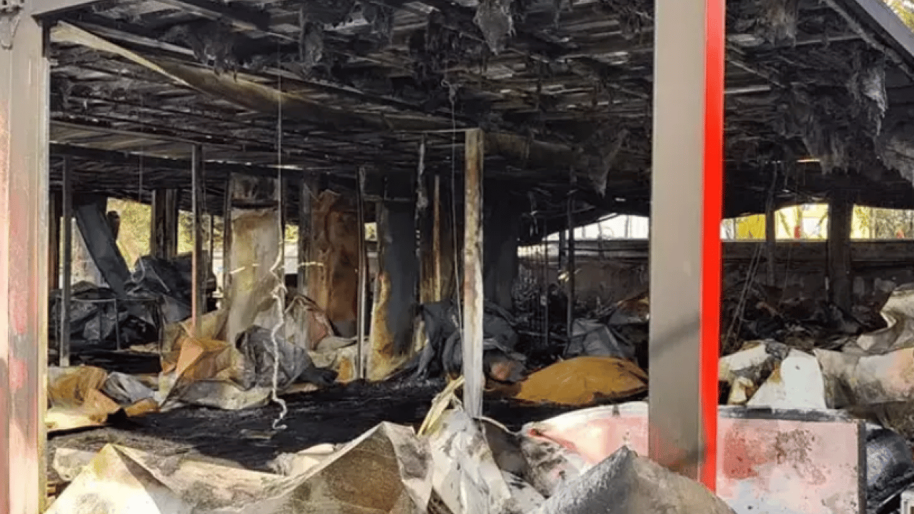 Foto - Yıldız Teknik Üniversitesi’nde korkutan yangın: Kulüp konteynerleri kül oldu