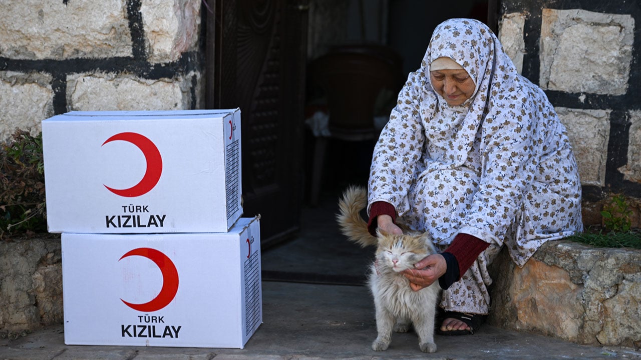 Foto - Seçim yapmak zor olacak! Yılın haber fotoğraflarında muhteşem kareler