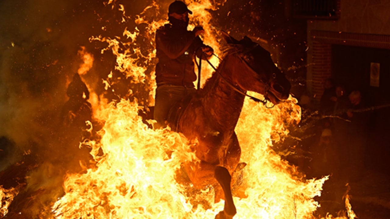 Foto - Seçim yapmak zor olacak! Yılın haber fotoğraflarında muhteşem kareler