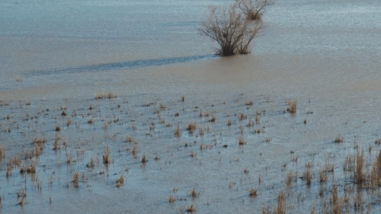 Foto - Yıllar sonra bir ilk yaşandı! Nasreddin Hoca'nın maya çaldığı gölde dikkat çeken görüntü