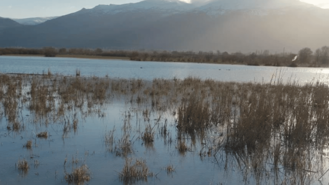 Foto - Yıllar sonra bir ilk yaşandı! Nasreddin Hoca'nın maya çaldığı gölde dikkat çeken görüntü