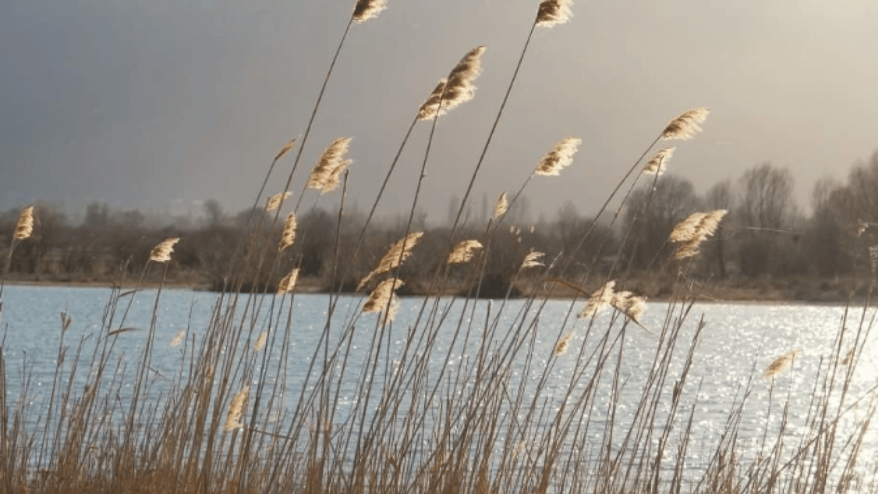 Foto - Yıllar sonra bir ilk yaşandı! Nasreddin Hoca'nın maya çaldığı gölde dikkat çeken görüntü