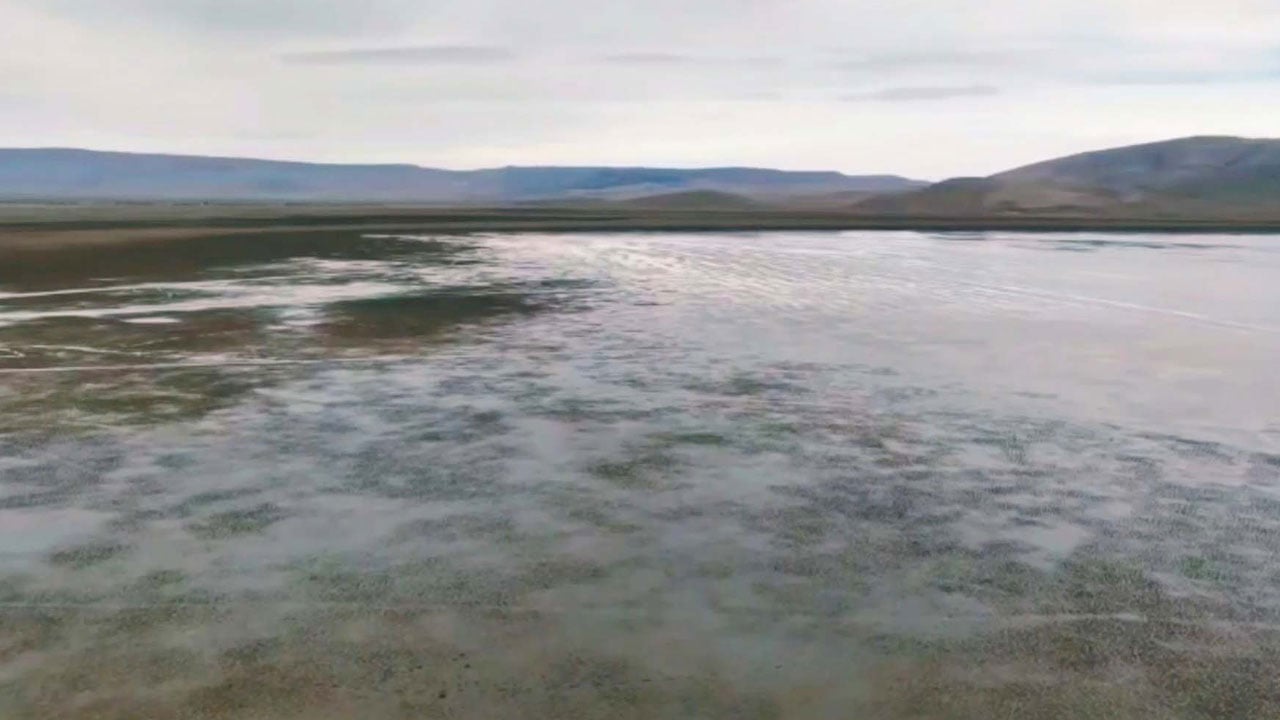 Yıllar sonra su tutmaya başladı! Kuruyan kuş cenneti yeniden canlanıyor